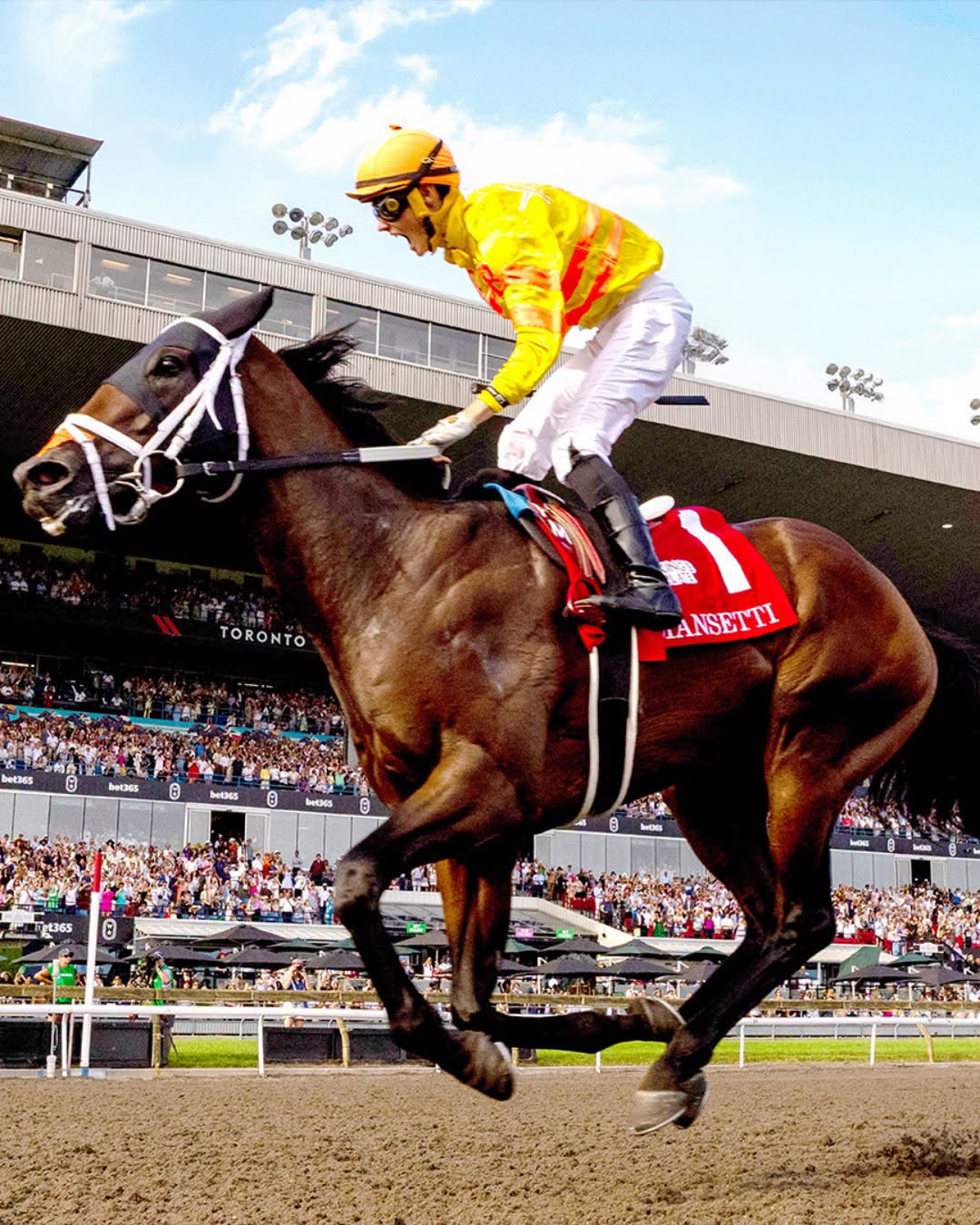 Thoroughbred horse racing at Woodbine Racetrack in Toronto